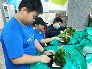 高年級職深-植物治療師:LINE_ALBUM_高年級職探植物治療師_241021_18