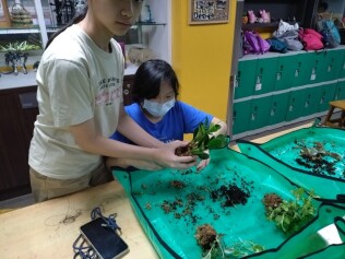 高年級職深-植物治療師:LINE_ALBUM_高年級職探植物治療師_241021_59