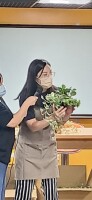 高年級職深-植物治療師:LINE_ALBUM_高年級職探植物治療師_241021_68